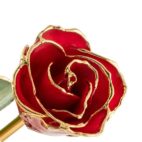 real rose preserved in 24k gold|24k gold forever rose.